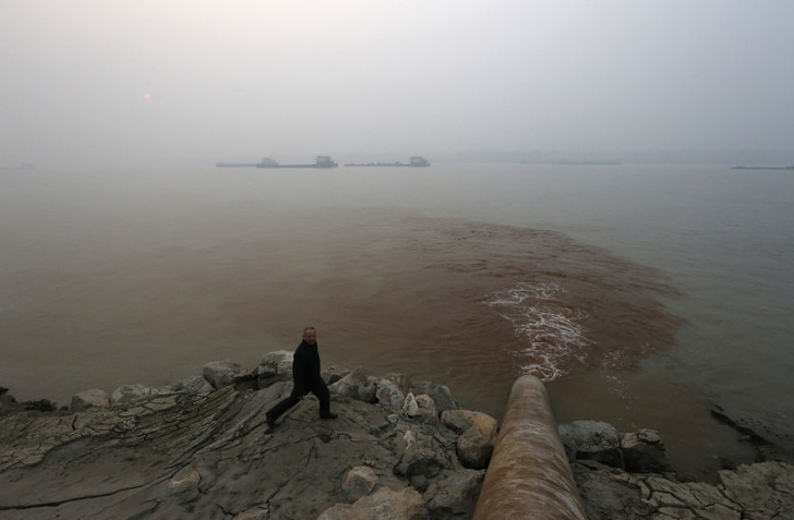 Illustration de l'article : Ces 15 photos qui montrent que l'on doit agir contre la pollution