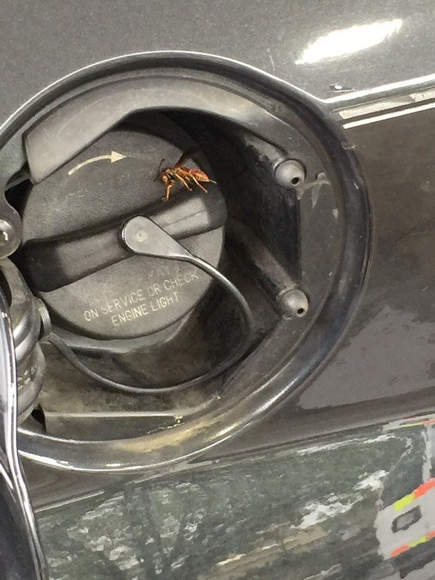 Illustration de l'article : 14 photos qui vont vous confirmer que tout se paye dans la vie