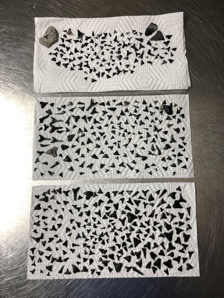 Illustration de l'article : Ces 13 photos qui montrent que notre monde est spécial