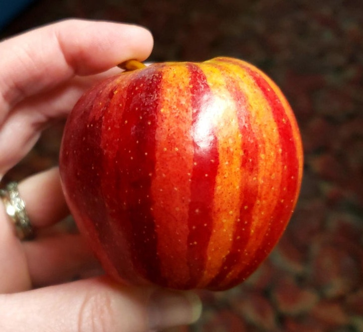 Illustration de l'article : Ces 20 photos d'éléments ordinaires qui ont quelque chose en plus