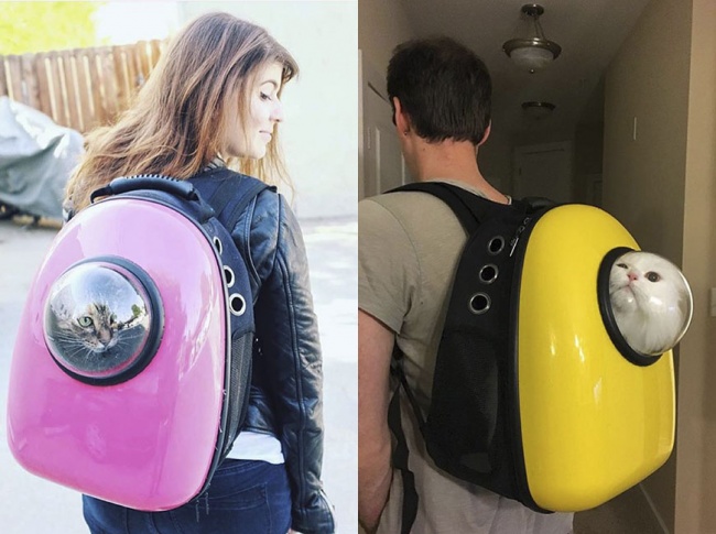 Illustration de l'article : 16 choses sur lesquelles vous pourriez craquer mais qui vous seront presque inutiles