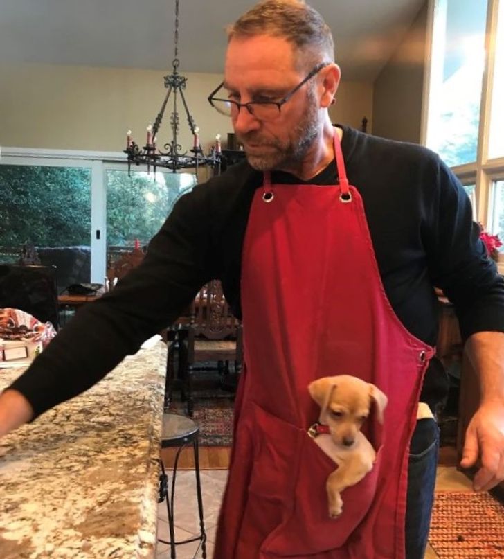 Illustration de l'article : Ces 20 personnes qui étaient contre adopter un animal de compagnie