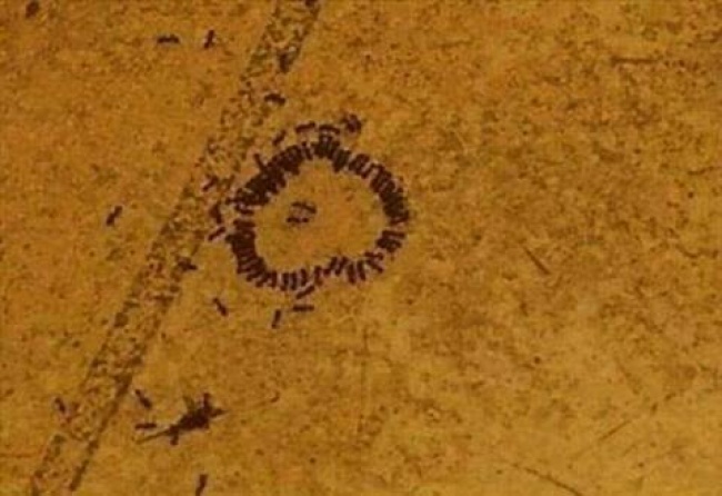 Illustration de l'article : 27 personnes partagent avec vous leurs découvertes incroyables