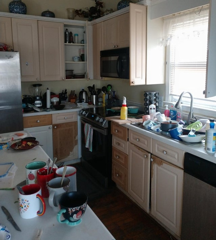 Illustration de l'article : Ces 15 photos qui mettent la patience à rude épreuve