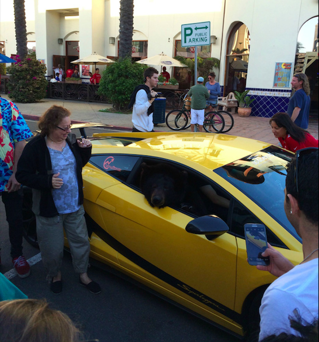 Illustration de l'article : Ces 30 photos de situations absurdes ou inhabituelles