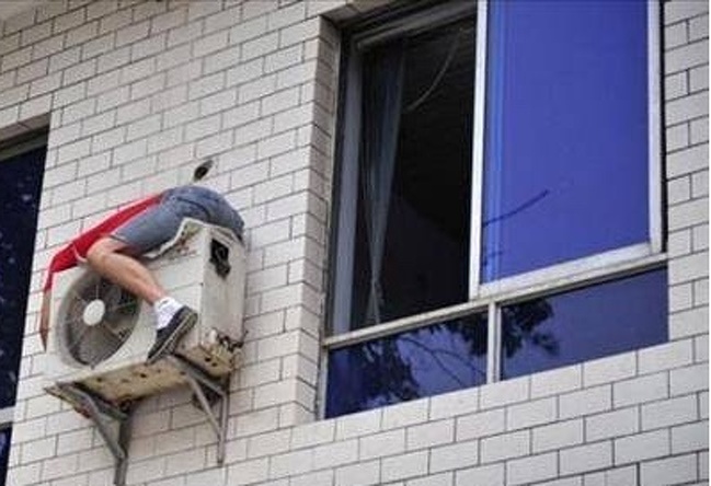 Illustration de l'article : Certains choix sont plus intelligents que d'autres, la preuve en 28 photos