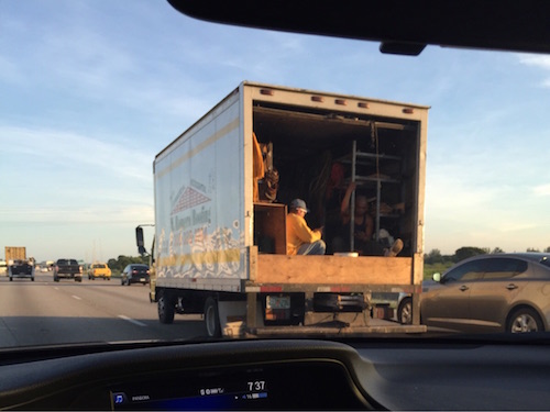 Illustration de l'article : 18 photos montrant combien les humains adorent la prise de risque