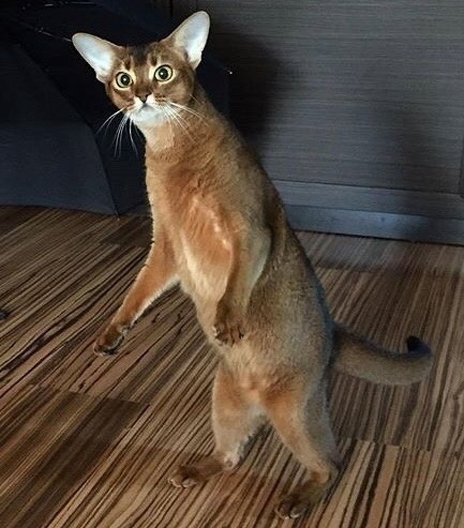 Illustration de l'article : Sélection des 23 photos insolites de la semaine