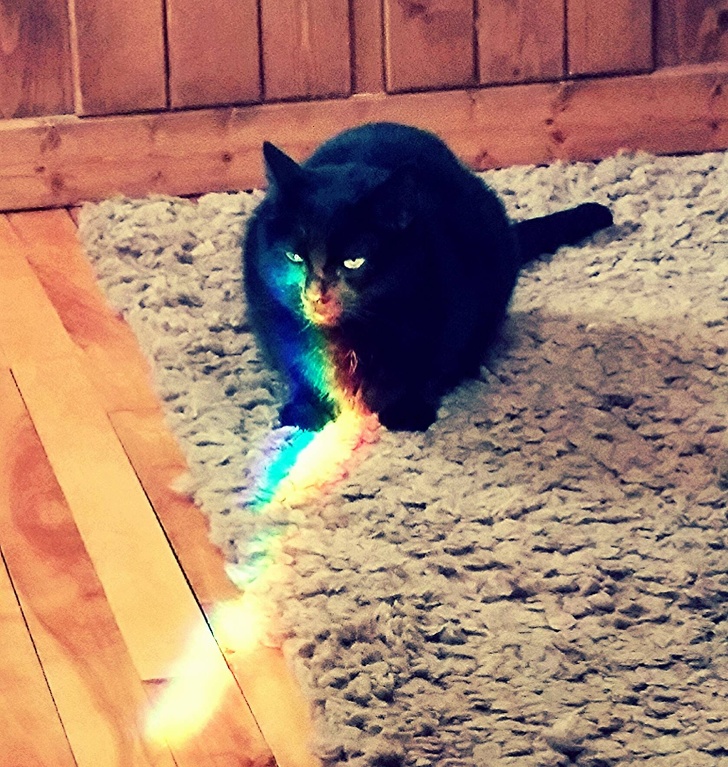 Illustration de l'article : Ces 20 photos déclenchées avec un bon timing