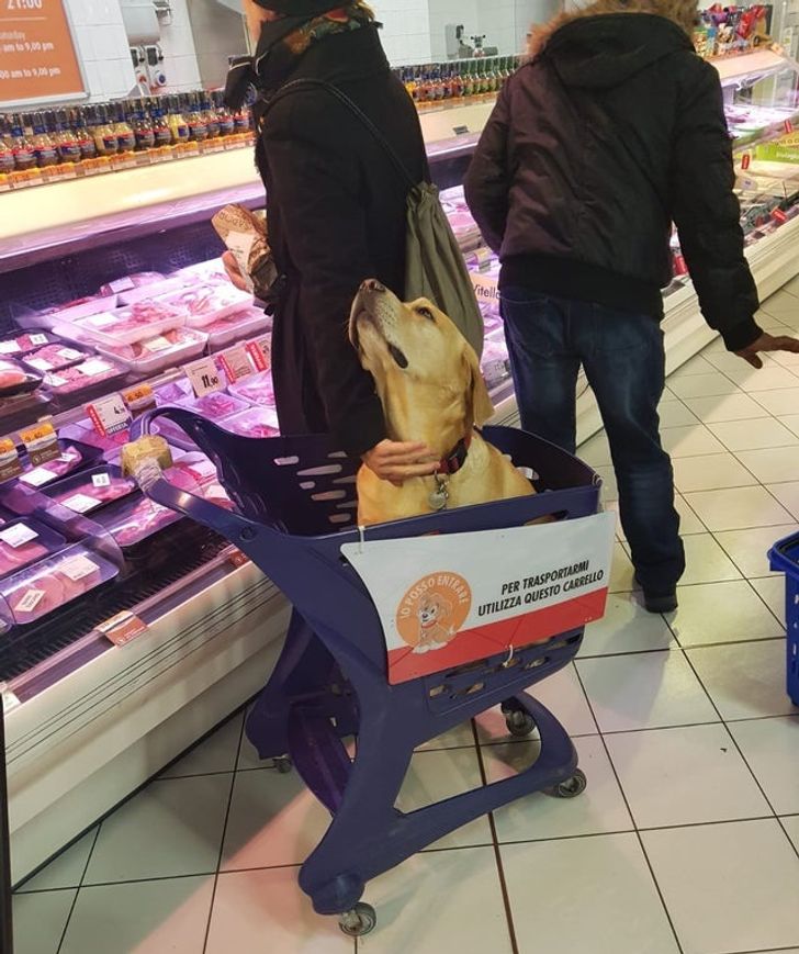 Illustration de l'article : Ces 17 brillantes id&eacute;es de designers au service des clients