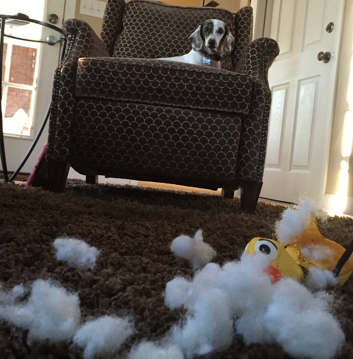 Illustration de l'article : Ces 16 photos de personnes préférant ne pas faire comme tout le monde