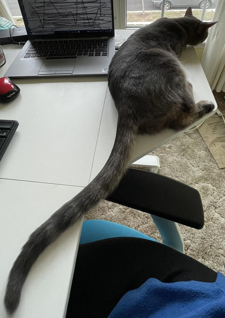 Illustration de l'article : Ces 16 photos qui illustrent les tournures amusantes du quotidien