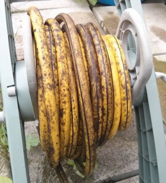 Le Chocolat Wonka Existe T Il 26 choses qui ne sont pas ce qu’elles paraissent