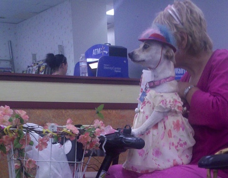 Illustration de l'article : Ces 25 bizarreries rencontrées dans la vie quotidienne