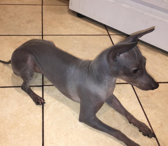 Illustration de l'article : 23 photos qui vont bousculer toutes vos connaissances fondamentales