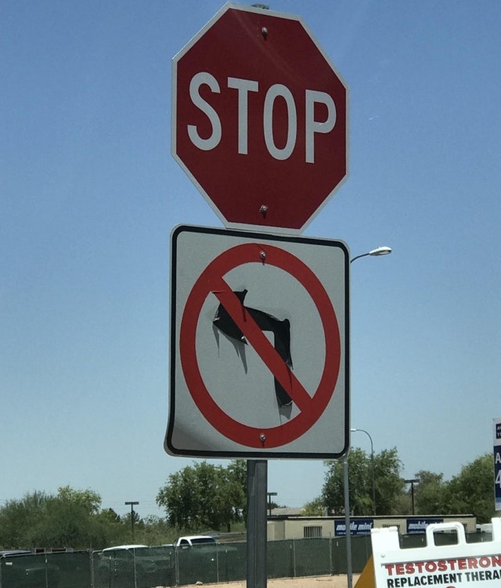 Illustration de l'article : Ces 21 photos qui montrent que l'été peut parfois être difficile à vivre