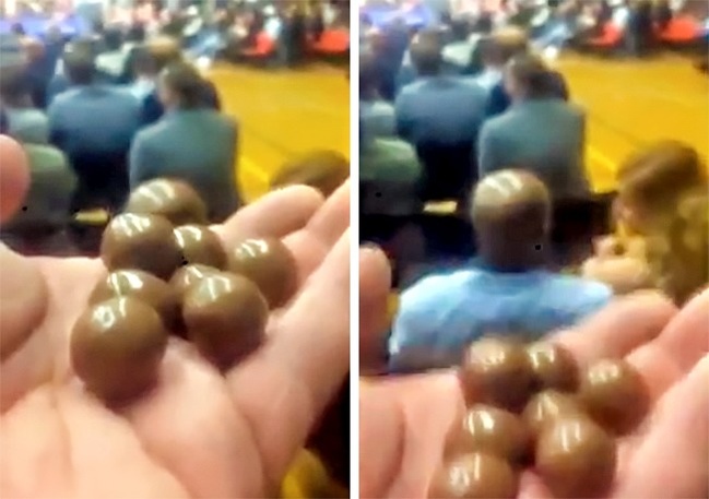 Illustration de l'article : Ces 21 choses que l’on ne voit pas souvent