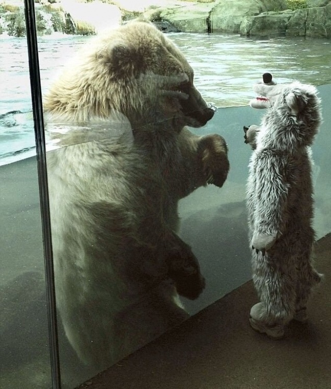 Illustration de l'article : 35 photos de choses totalement insensées et inexpliquées