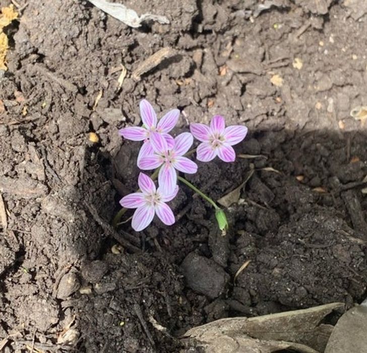 Illustration de l'article : Ces 19 photos qui illustrent la beaut&eacute; de la nature 