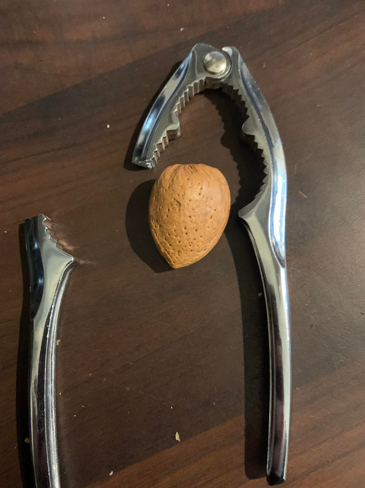 Illustration de l'article : Ces 15 photos qui mettent la patience à rude épreuve