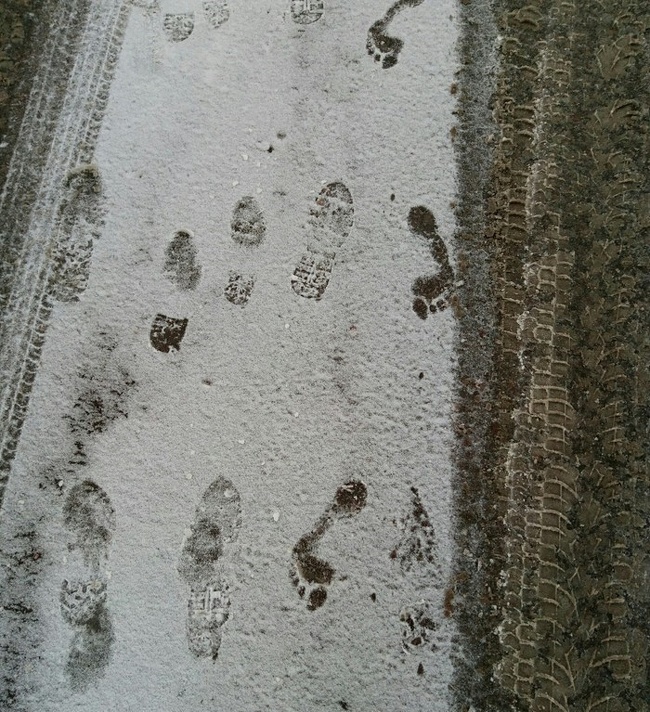 Illustration de l'article : Ces 14 photos de choses étranges et inhabituelles