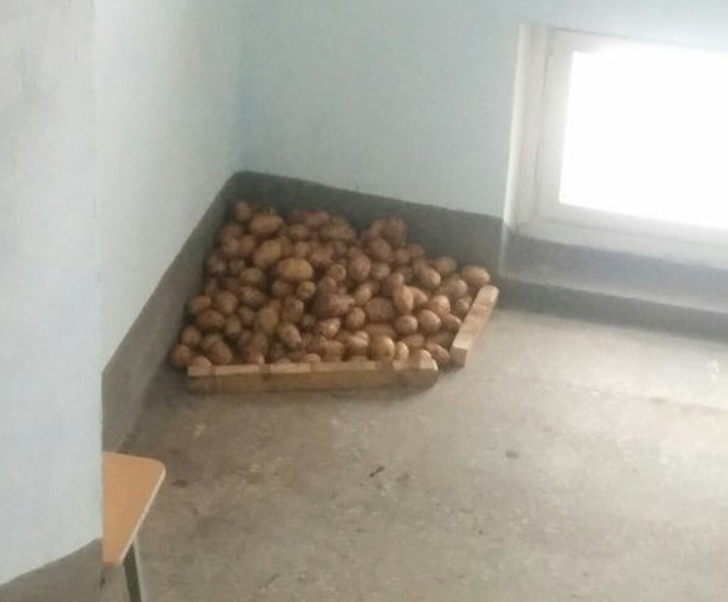 Illustration de l'article : Ces 12 photos de personnes ne voulant pas faire comme tout le monde