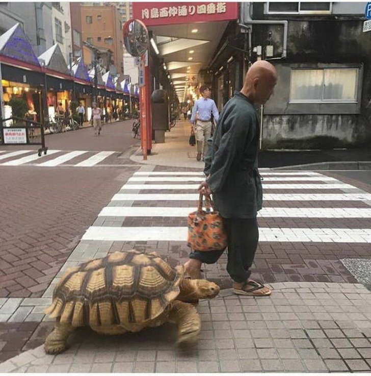 Illustration de l'article : Ces 20 photos qui montrent la particularité des pays asiatiques