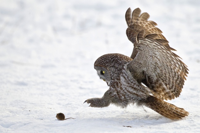 Illustration de l'article : 30 photographies non retouch&eacute;es prises quelques secondes avant une chute in&eacute;vitable