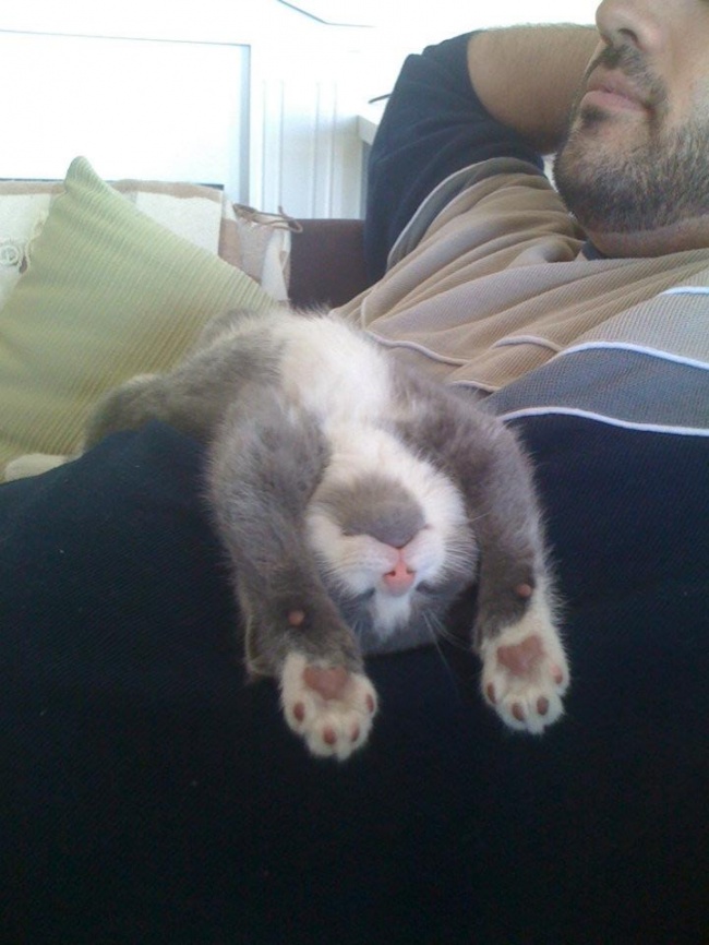 Illustration de l'article : Ferez-vous partie des 1% de personnes n’ayant pas ri devant ces 22 photos ?