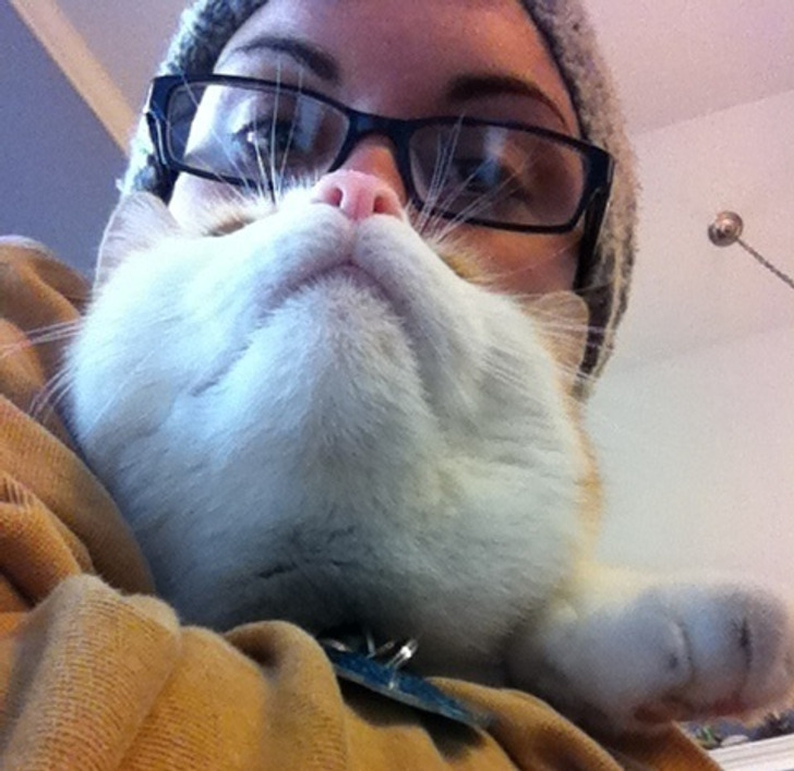 Illustration de l'article : Ces 18 photos de situations satisfaisantes prises au bon moment