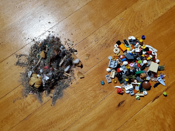 Illustration de l'article : Ces 16 personnes qui se rappelleront de 2019 avec humour