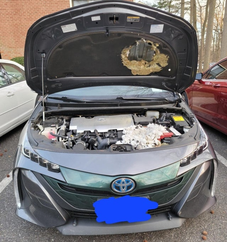 Illustration de l'article : Ces 17 personnes qui ont sûrement passé une très mauvaise journée