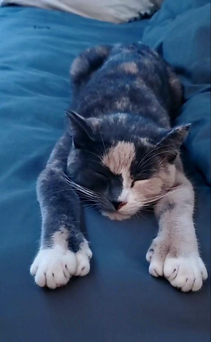 Illustration de l'article : Ces 20 photos illustrant les bonus que donne la nature &agrave; ses &eacute;l&eacute;ments