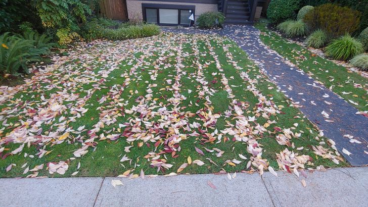 Illustration de l'article : Ces 17 photos qui montrent à quel point la nature est riche