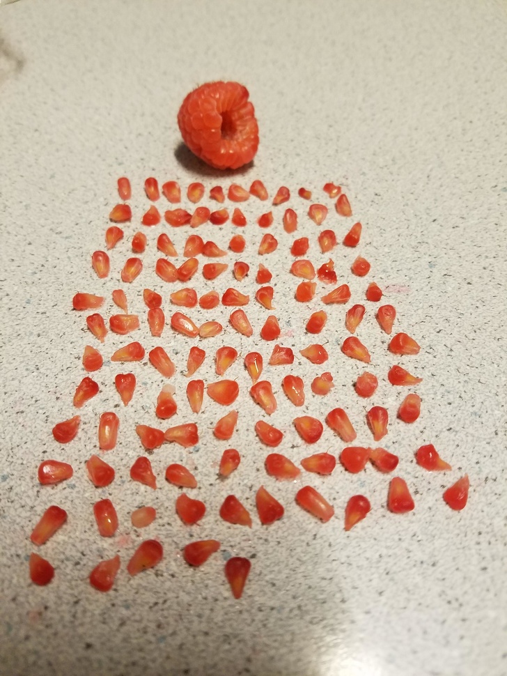 Illustration de l'article : Ces 22 employ&eacute;s qui ont trouv&eacute; une fa&ccedil;on de lutter contre l'ennui au travail