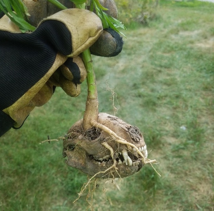 Illustration de l'article : Ces 17 façons de voir les choses qui sortent de l’ordinaire