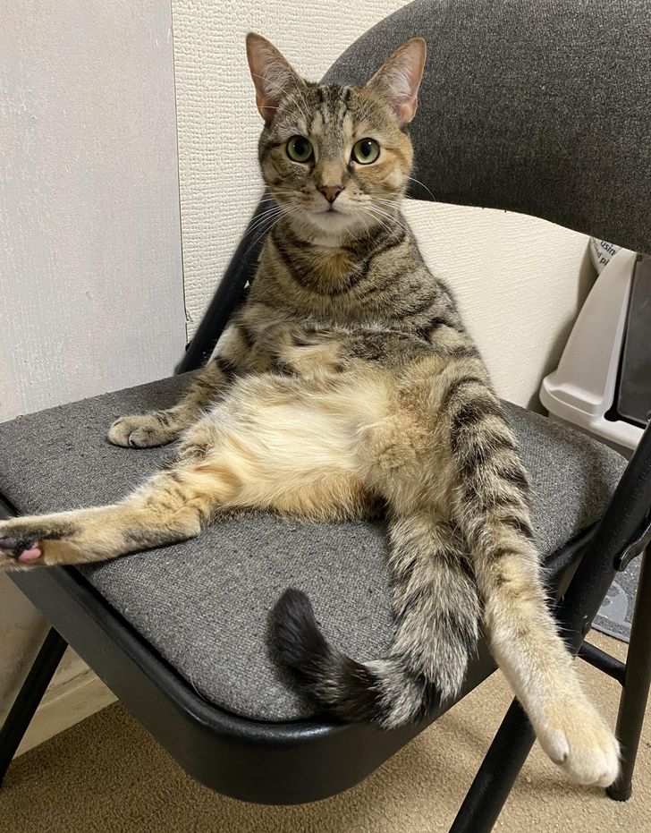 Illustration de l'article : Ces 20 photos qui demandent un second coup d'oeil