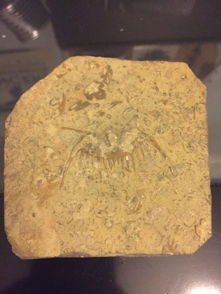 Illustration de l'article : Ces 14 curieux objets qui ont pourtant une réelle utilité