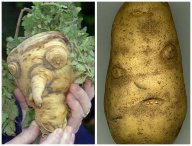 Illustration de l'article : 27 photos o&ugrave; quelque chose d'&eacute;trange s'est produit &agrave; la nourriture