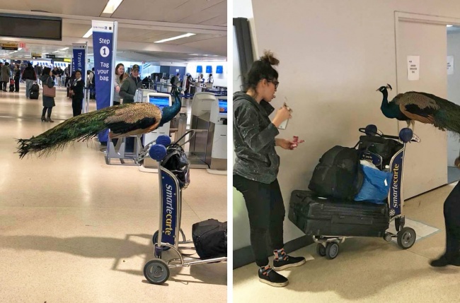 Illustration de l'article : 25 internautes partagent avec vous leurs instants de vie les plus marquants