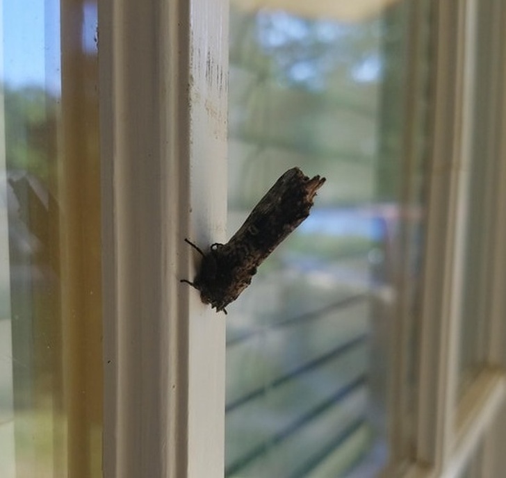 Illustration de l'article : Ces 23 curiosités qui montrent qu'il faut être attentif autour de soi