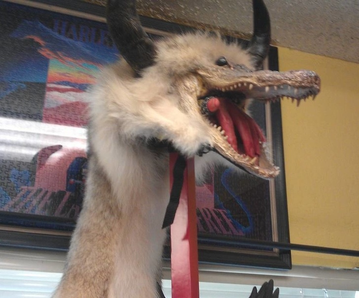 Illustration de l'article : Ces 18 objets originaux trouvés dans des brocantes et dépôts