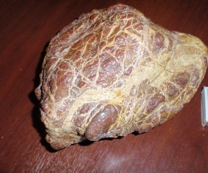 Illustration de l'article : Ces 13 photos avec un détail qui leur donne un autre sens