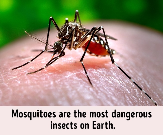 Illustration de l'article : 12 pièges à éviter si vous passez vos vacances dans certaines destinations exotiques