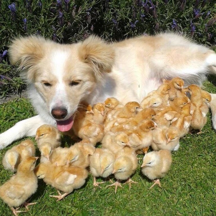 Illustration de l'article : Ces 23 photos montrent qu'on peut découvrir chaque jour de nouvelles choses