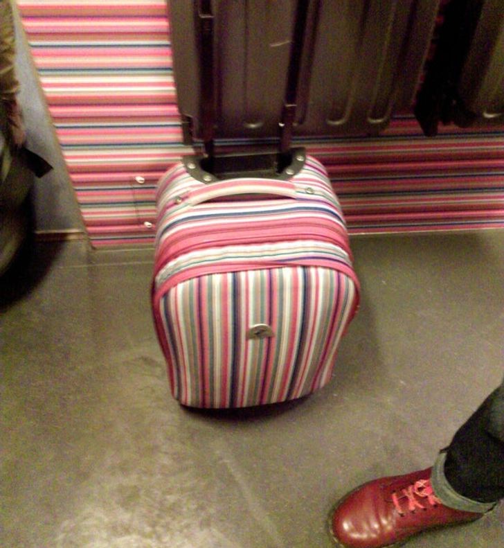 Illustration de l'article : Ces 16 objets qui se fondent pleinement dans le décor