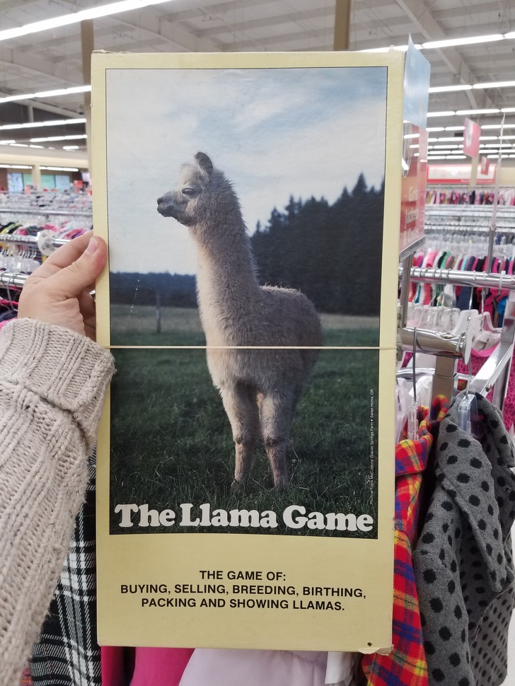 Illustration de l'article : Ces 18 objets originaux trouvés dans des brocantes et dépôts