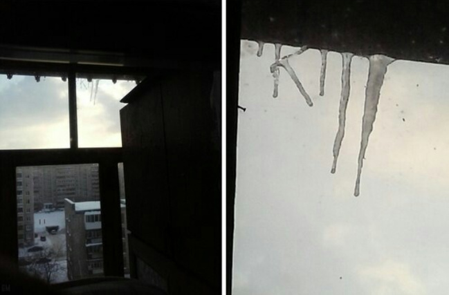 Illustration de l'article : Ces 20 photos donnent la chair de poule