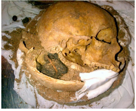 Illustration de l'article : 10 objets dangereux interceptés par les douanes aériennes américaines