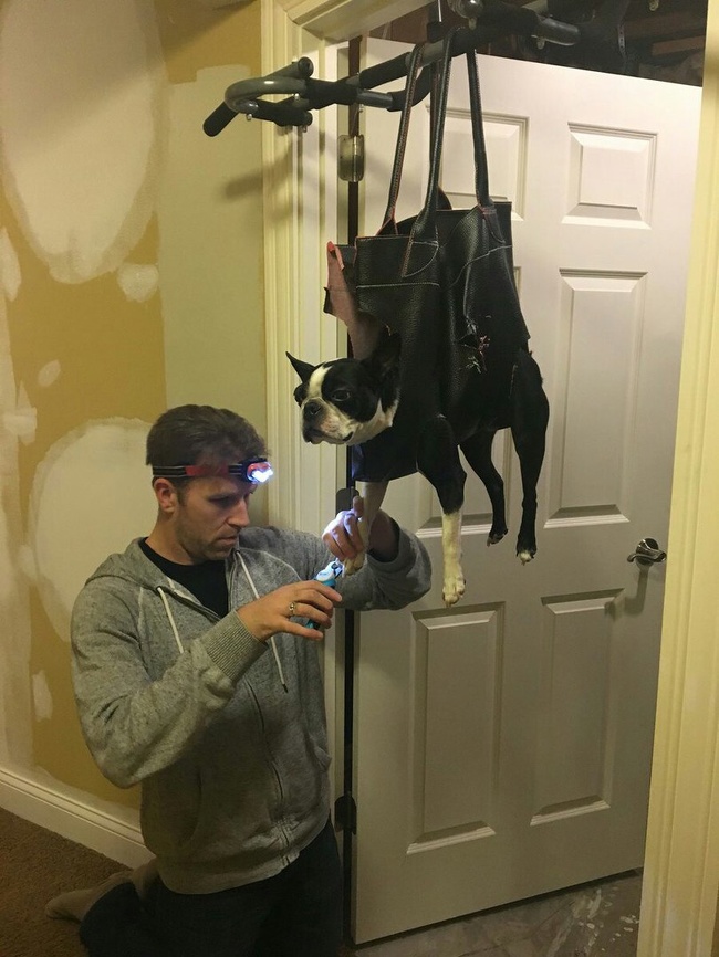 Illustration de l'article : Ces 24 personnes ne font pas les choses comme tout le monde